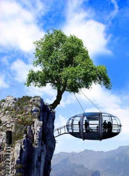 clip art tree house. in this tree-house :)