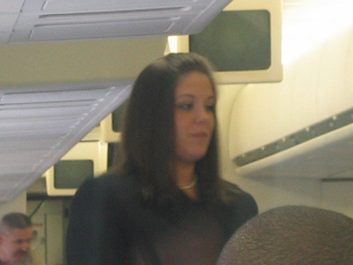 Hottie flight attendant photo