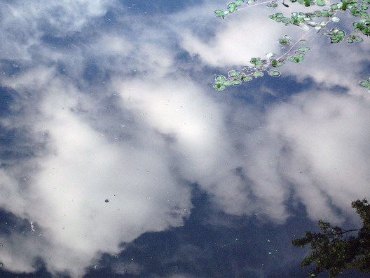 Reflected Sky