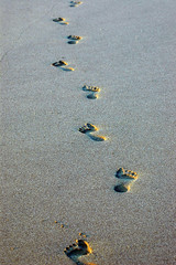 foot prints in the sand