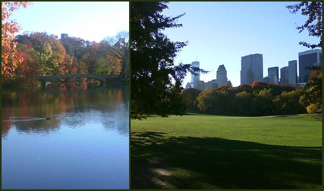 Jogging in Central Park