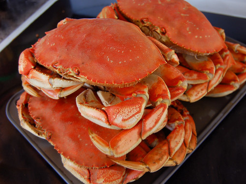 Find Dungeness Crab at Port Angeles Dungeness Crab Festival
