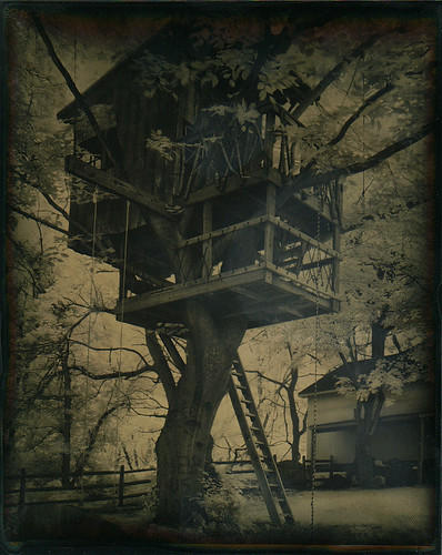Tree House Tintype by isvibilsky