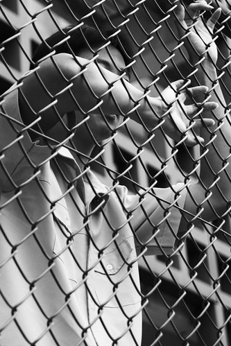 Through the fence