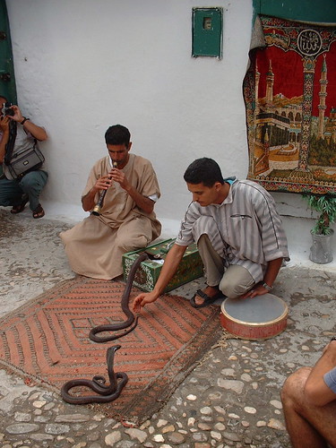 Snake Charmer in Marrakech