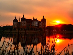 Chateau Moritzburg - sunset -