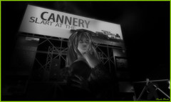 Cannery Opening Party 4 - Blog -