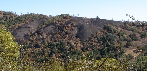 Fire damage across the canyon