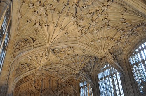 A Stunning Ceiling