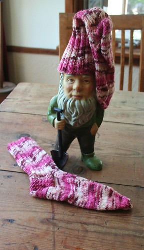 Gnome in Disguise