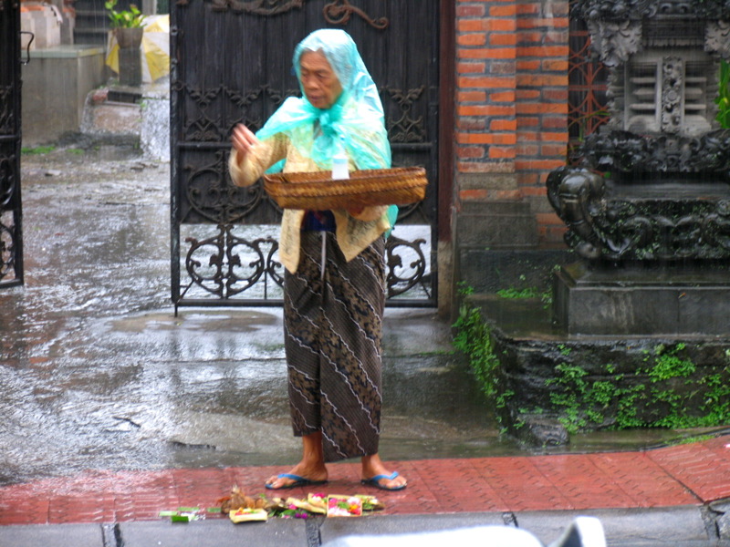 Balinese woman setting out cadang sari offerings in rain