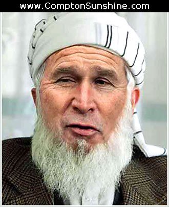 bin laden and george bush. osama in laden and george