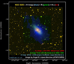 NGC 5253 radio/optico