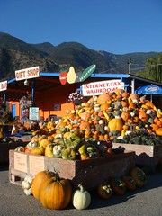 Gerry's Fruit Stand in Keremeos BC