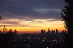 Hollywood Sunrise