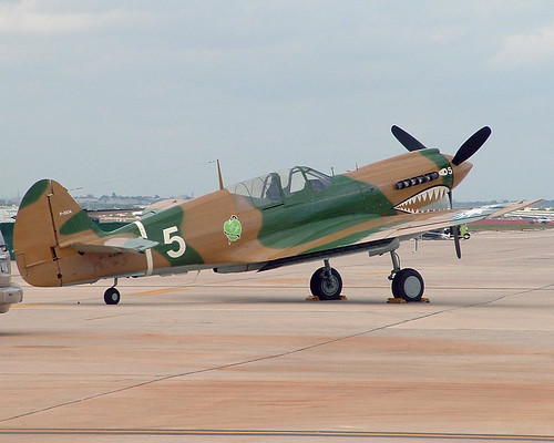 Warbird picture - P-40 Warhawk.