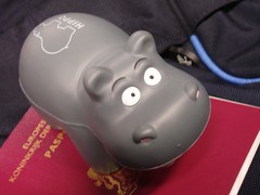 Hippo plus passport