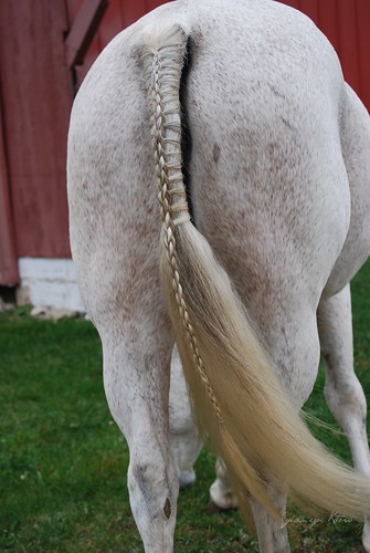 diamond braided tail