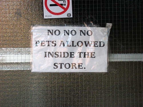 No no no pets allowed inside the store.