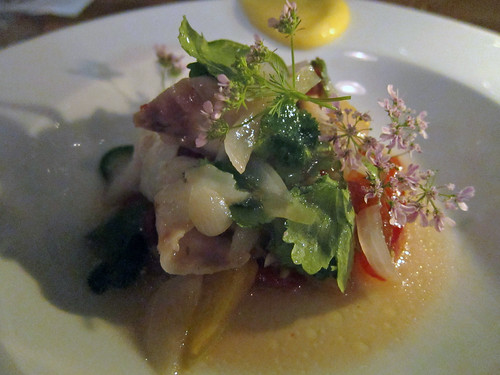 Sea Bream Ceviche with Heirloom Tomatoes, Jalapeños, Cilantro Flowers and Meyer Lemon Paste
