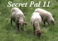 SecretPal11