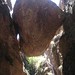 Bear Gulch Cave Trail, Pinnacles National Monument