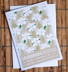 places_Savannah-card