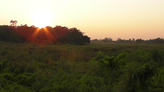 Sunset in the jungle of Chitwan National Park