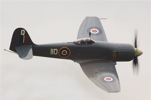 Warbird picture - Hawker Sea Fury FB11