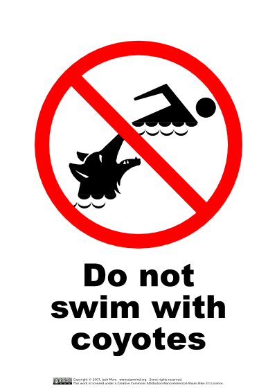 Do Not Swim With Coyotes