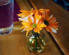Orange flowers in small vase