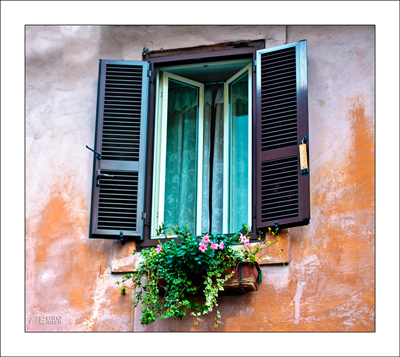 Roma - Trastevere - Window Hunter part III