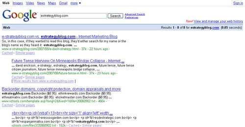 Screenshot of Google Search for estrategyblog.com on 08/08/07