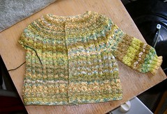 Feb Baby Sweater, Spring