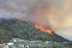 Forest Fires in Greece