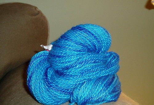 blue alpaca2