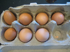 Eggs from two different chickens
