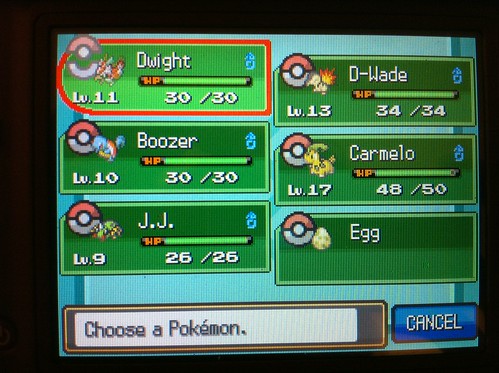 Pokemon team roster