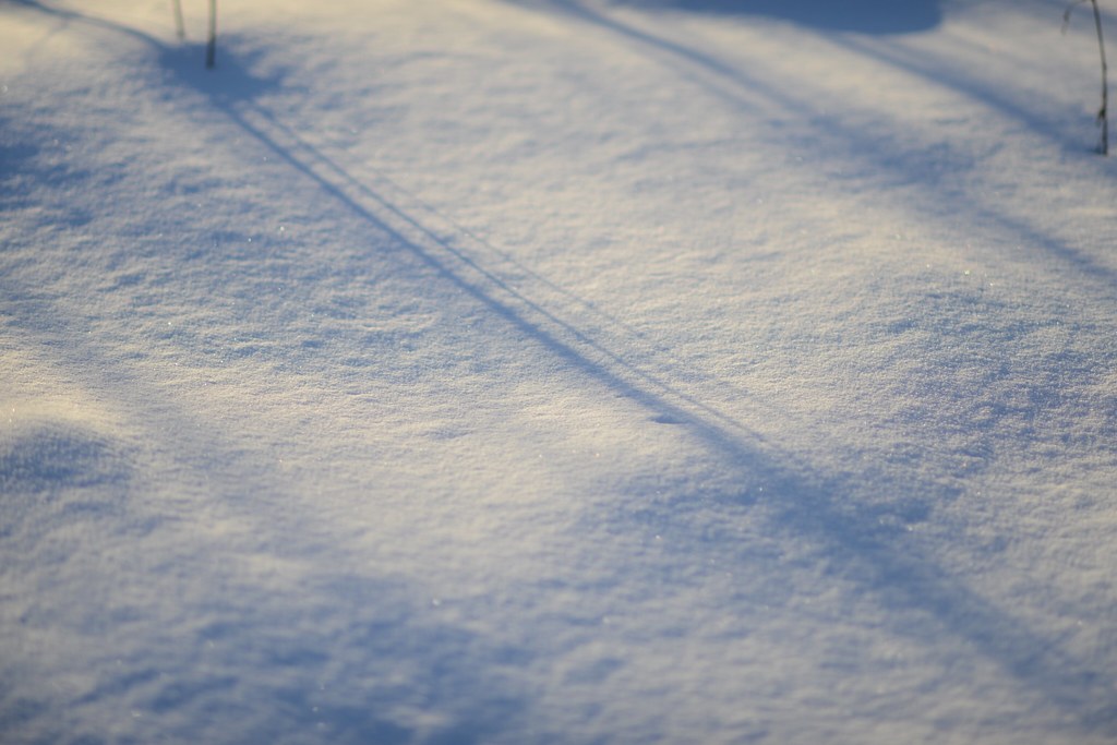 : Snow field
