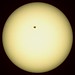Sunspot AR 2529