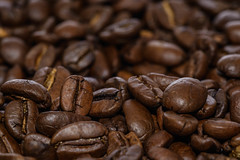 Coffee Beans(seeds)