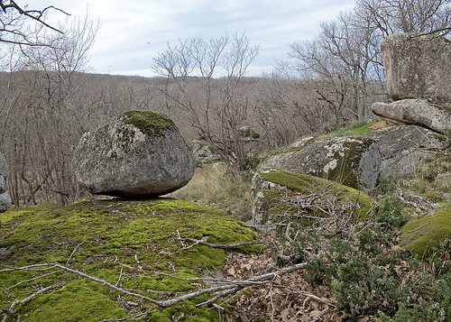stones at Ropotamo reserve, Bulgaria /  ©  Katya