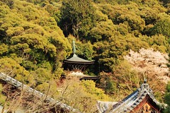Eikan-dō Zenrin-ji - 永観堂禅林寺