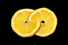 Infinite Lemon