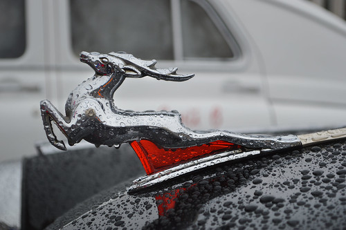 Deer figure on the hood of Volga 21 (GAZ), to symbolize the speed and grace ©  Sergey Tchernykov