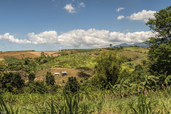 Guimbalaon Landscape