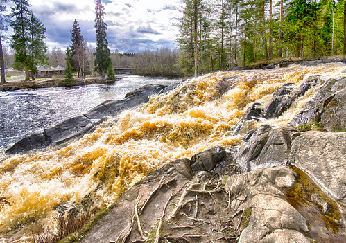 Ahvenkoski Rapids, Karelia  ©  Andrey Korchagin