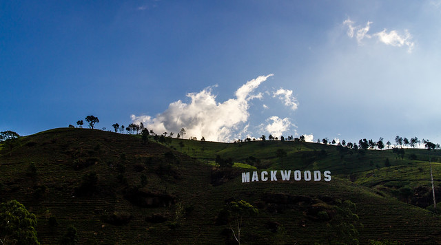 Mackwoods