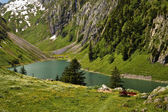Swiss Landscape
