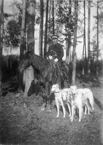 A hunter with borzoi hounds ©  Sergey G